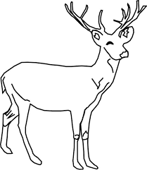 We did not find results for: Hasil Gambar Untuk Gambar Rusa Hitam Putih Deer Coloring Pages Deer Sketch Deer Clip Art