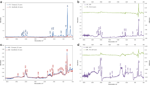 Non Invasive Identification Of Polymers In Cultural Heritage