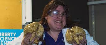 Behind-the-STEM: Human brains vs. zombie brains!