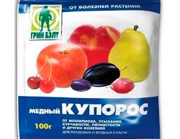 Mednyj Kuporos Ot Fitoftory Zashishaem Kartofel I Tomaty
