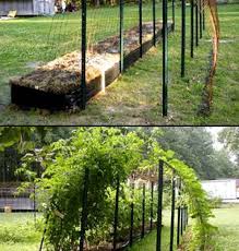 A Stinkin Pack Rat Or A Good Recycler Garden Trellis Landscaping With Rocks Garden Vines