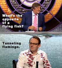 Viimeisimmät twiitit käyttäjältä sean lock (@theseanlock). Pin By Alexandra Gomez On Funny British Humor English Humor British Comedy