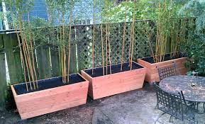Get ideas for your outdoor lounging, dining and cooking spaces from this year's. 10 Bamboo Landscaping Ideas Garden Lovers Club