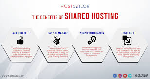 The Benefits Of Shared Hosting Infographic Hosting Ssl Certificate Infographic