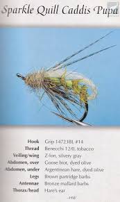 My fishing flies has a huge selection of great quality trout flies. 365 Trout Flies Patterns And Recipes For A Year Of Succesful Fishing Mistpool