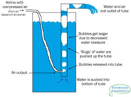 How Does An Airlift Pump Work1 Png 600 446 Aquaponics System Aquaponics Aquarium Air Pump