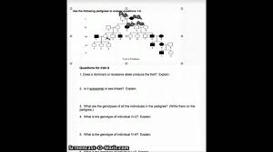 This worksheet looks at pedigrees in families with albinism. Pedigree Analysis Worksheet Answers Youtube