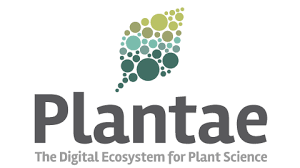 Maybe you would like to learn more about one of these? The Plant Cell Oxford Academic