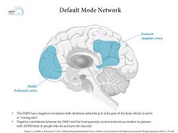 It does, however, affect a person's ability to regulate attention and emotions, and it results in hyperactivity and impulsivity as well as organization problems. Neurobiology Of Attention Deficit Hyperactivity Disorder Adhd A Primer