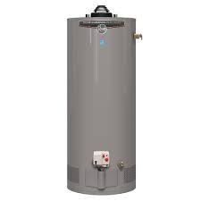 In this article, we'll recommend our top choices for replacing your current rv water heater and the pros. Rheem Performance Platinum 50 Gal Gas Water Heater With 12 Year Warranty The Home Depot Canada