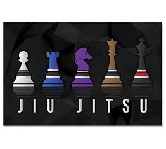 In brazilian jiu jitsu the general belt process is: Chess Jiu Jitsu Poster For Bjj 11 X 17 Inches Art Print For Brazilia