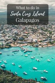 What To Do On Santa Cruz Island Galapagos Drink Tea Travel Galapagos Islands Travel Santa Cruz Island Galapagos