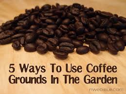 5 Ways To Use Coffee Grounds In The Garden Coffee Grounds Uses For Coffee Grounds Garden