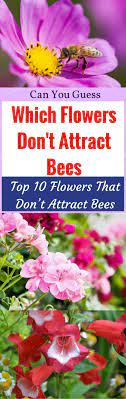 We did not find results for: Know How To Prevent Bees From Coming Into Your Yard Through The Different Kinds Of Flowers Which Repel Th Attracting Bees Different Kinds Of Flowers Bee Garden