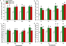 Free fire is the ultimate survival shooter game available on mobile. Phosphorus Solubilizing Trichoderma Spp From Amazon Soils Improve Soybean Plant Growth Scientific Reports