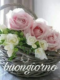 Check spelling or type a new query. Buongiorno Gente Rose Belle Buongiorno Fiori Fiori