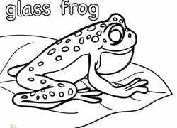 Young kids love to dabble with frog coloring pages which they can fill with vibrant colors. Frog Coloring Pages Printables Education Com