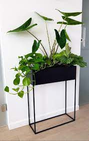 Cheap Summer Decor Saleprice 26 Industrial Home Decor Nz Industrial Home D Decoracion De Casa Con Plantas Decoracion Plantas Plantas Interior Decoracion