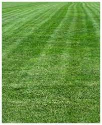 Pin On Lawn Care Junkie