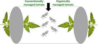 Pests include insects, plants, diseases and other organisms that threaten natural and cultural resources or pose a threat to. Organic Management Promotes Natural Pest Control Through Enhanced Plant Resistance To Insects Biorxiv