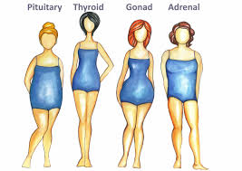 urshadybff tricks to beat the odds for your body type