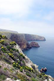 Santa cruz island is the largest island in the state of california. File Santa Cruz Island Jpg Wikimedia Commons
