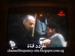 تردد قناة روتانا مصرية على نايل سات rotana masriya channel frequency مصريون