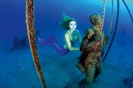 Image result for real mermaid