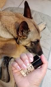 NOTD 9 september 2018: Never Change A Pearly Polish (Catrice)