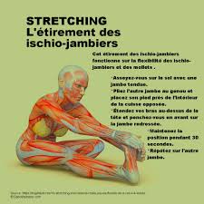 Stretching Flexibilite Mouvements De Yoga Etirement Musculation Etirements Musculaires