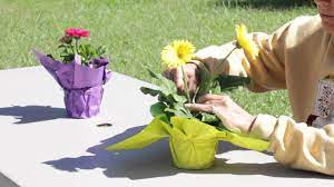 Pin On Plant Care Cures