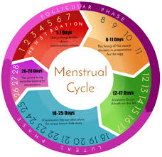 A menstrual cycle is considered to begin on the first day of a period. What Is Menstruation How Does The Menstrual Cycle Work Anigan