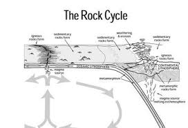 The reactions of cellular respiration can be grouped into three stages: Fold Mountain National Geographic Society