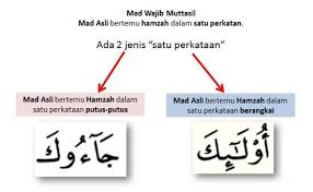 Contoh mad jaiz munfasil dalam surah yasin. Huruf Mad Wajib Muttasil Dan Mad Jaiz Munfasil
