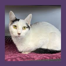 The Sanctuary at Haafsville