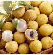 View our large selection of fruit tree seeds. Egrow 4pcs Bag Longan Seeds Live Dragon S Eye Exotic Longan Dimocarpus Sweet Tropical Fruit Tree Seeds