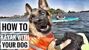 Vergleichen sie flüge und sparen sie bis zu 50%. How To Kayak With Big Dog Youtube