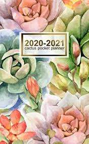 2020 2021 Cactus Pocket Planner Small Monthly Calendar P Https Www Amazon Com Dp 1687153930 Ref Cm Sw R Planner Planner Calendar Calendar Monthly Planner