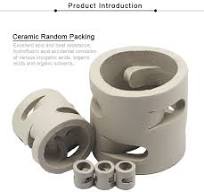 Ceramic Pall Ring