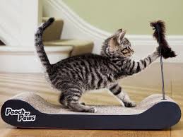 Click the checkout button below to complete your order. 10 Best Cat Scratchers The Independent The Independent