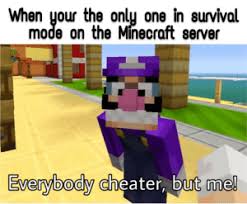 Any version pc 1.8.9 pc 1.8 pc 1.17 pc 1.16.5. When Your The OnlÅ³ One In Survival Mode On The Minecraft Server Everybody Cheater But Me My Favorite Waluigi Quote Minecraft Meme On Me Me