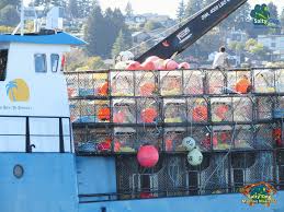 F/V Summer Bay Captain 