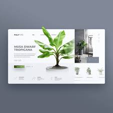 From Thisis Alex Pro Luxury Interior Plants Website Concept The Home Page Is Designed To Max Creative Web Design Web Design Tips Web Design Inspiration