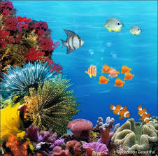 Coral reef paintings by artist and advocate for the world coral reefs ana bikic preserve our florida coral reefs. Coral Reef Paintings