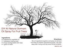 Diy Dormant Oil Spray Growing Fruit Trees Apple Tree Fruit Trees
