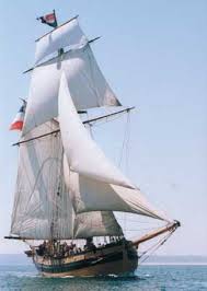 Renard Saint Malo Google Faire De La Voile Voile Bateau Bateau A Voiles
