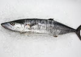 Nah, itu salah satu contohnya. Unduh 100 Gambar Ikan Tenggiri Paling Bagus Gratis