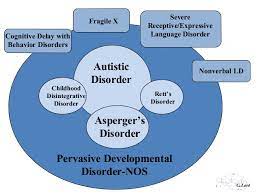How Does Aspergers Syndrome Differ From Non-Verbal Learning Disability (Nvld)?  | Lucky Otters Haven