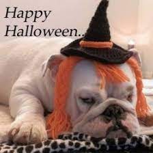 Free Halloween Crochet Patterns Halloween Crochet Patterns Crochet Costumes Free Halloween Crochet