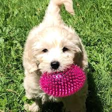 Nancy Petit (@nancycpetit) • Instagram photos and videos